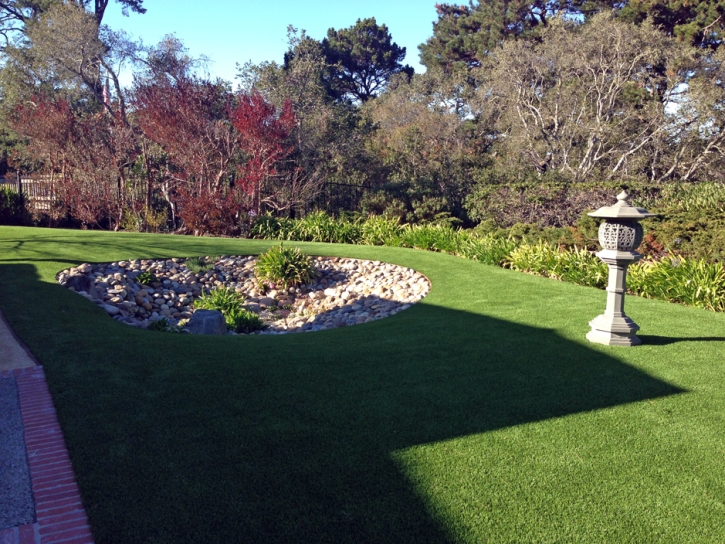 Turf Grass East Hemet, California Backyard Playground, Backyard Design