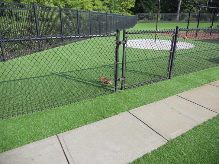 Turf Grass Indian Wells, California Lacrosse Playground, Recreational Areas