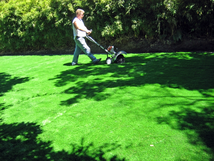 Turf Grass Indian Wells, California Rooftop, Backyard Landscape Ideas