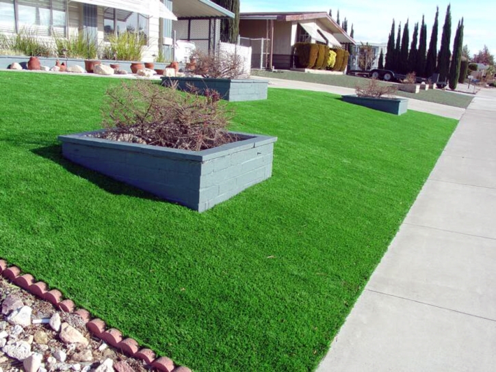 Turf Grass Indio, California Lawns, Front Yard