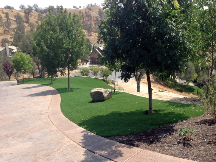 Turf Grass Lake Elsinore, California Gardeners, Front Yard Landscaping Ideas