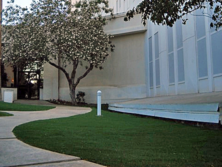 Turf Grass San Jacinto, California Roof Top, Front Yard