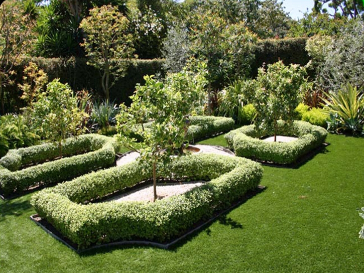 Turf Grass Sun City, California City Landscape